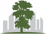Elmdale Developments Ltd. Elmdale Developments Ltd.